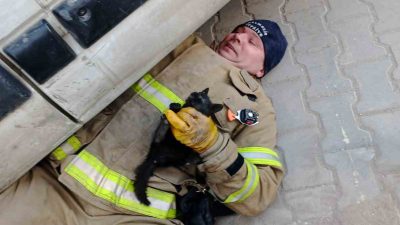 Balıkesir’in Edremit ilçesinde bir aracın içerisine sıkışan yavru kedi, itfaiye