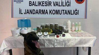 Balıkesir İl Jandarma Komutanlığı ekiplerince il genelinde gerçekleştirilen kaçakçılık ve