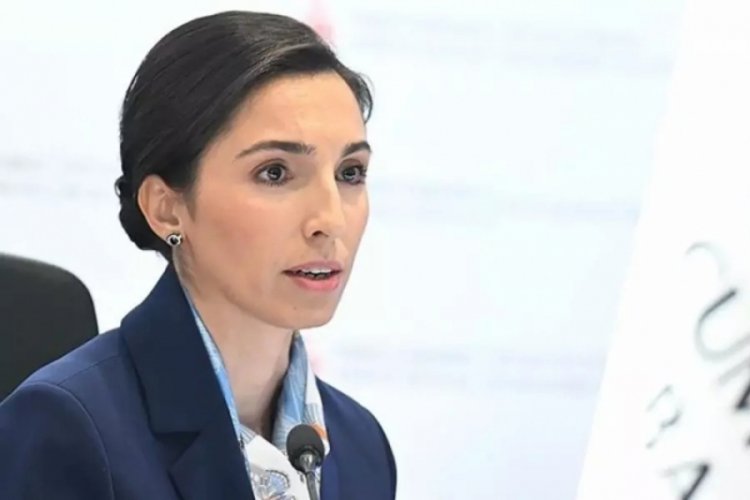 Türkiye siyaseti son günlerde hararetli günler geçirirken ekonominin patronu Mehmet