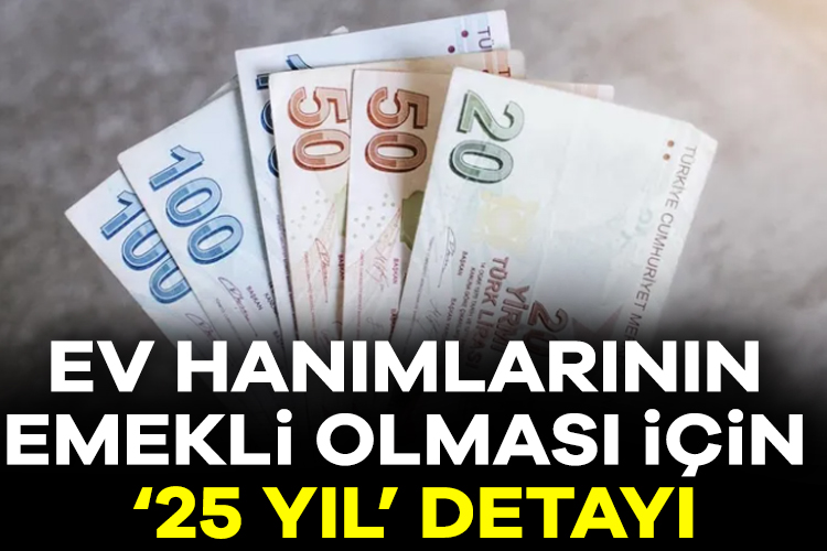 Türkiye'de doğum oranlarının düşmesi hükümetin gündeminde. Doğum oranlarının yükseltmek için