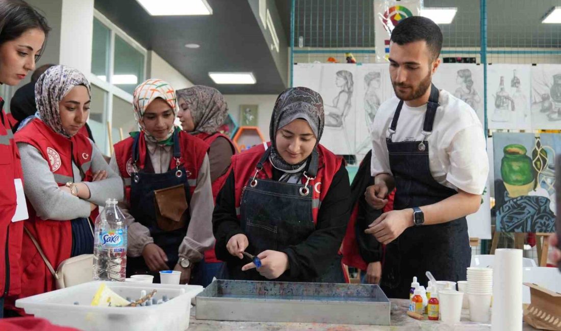 Gençlik ve Spor Bakanlığı tarafından yürütülen "Damla Gönüllülük Hareketi Projesi"