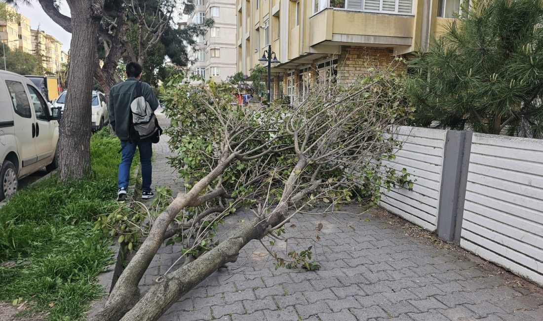Bandırma’da fırtına hayatı olumsuz etkiledi Balıkesir’in Bandırma ilçesinde etkili olan fırtına hayatı olumsuz etkiledi.
