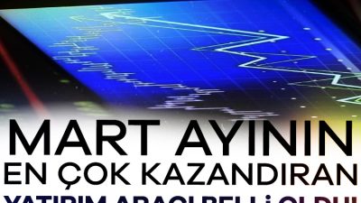Türkiye İstatistik Kurumu (TÜİK) mart ayına ilişkin finansal yatırım araçlarının