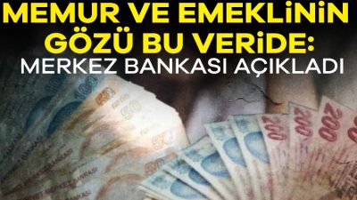 Türkiye Cumhuriyet Merkez Bankası (TCMB), nisan ayına ilişkin "Piyasa Katılımcıları