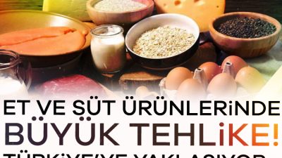 ABD'de görülen şap hastalığının Avrupa'da da hızla yayılması üzerine İngiliz