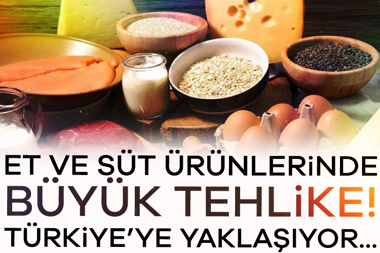 ABD'de görülen şap hastalığının Avrupa'da da hızla yayılması üzerine İngiliz