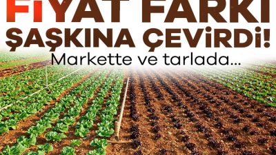 Verim düşüklüğü ve fiyat uçurumu, üretici ile tüketici arasındaki uçurumu