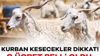 Diyanet İşleri Başkanlığı, bu yılki vekalet yoluyla kurban kesim organizasyonunda