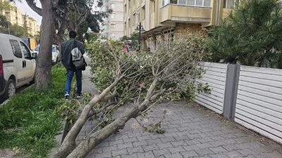 Balıkesir’in Bandırma ilçesinde etkili olan fırtına hayatı olumsuz etkiledi.