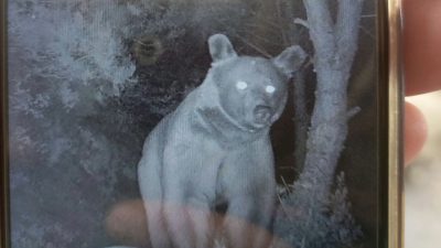 Balıkesir’in Erdek ilçesine bağlı kırsal Ballıpınar Mahallesi’nde arıcılıkla geçimini sağlayan