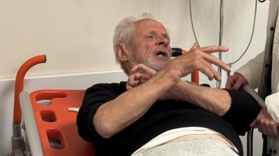 Balıkesir’in Erdek ilçesine bağlı Pulaş Mevkii’nde meydana gelen ayı saldırısında