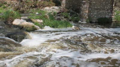 Balıkesir'in Manyas ilçesi Cumhuriyet Mahallesi'nden geçen Ketenlik Deresi'ne kimyasal ve