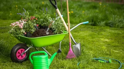 Yaz boyunca solmadan açan çiçekler hem görüntüsüyle büyülüyor hem bahçenizi