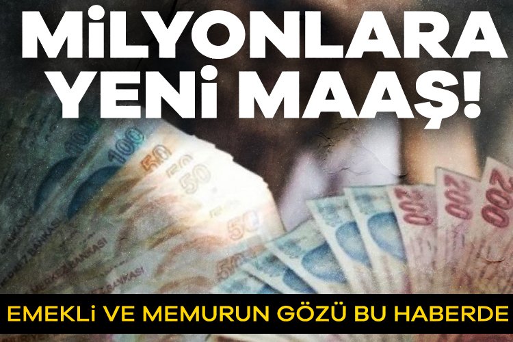 Bu yıl işçi, emekli ve memurlar için toplu sözleşme senesi.