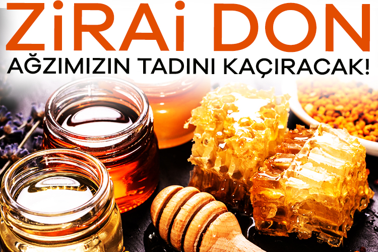 Türkiye Arı Yetiştiricileri Merkez Birliği (TAB) Başkanı Ziya Şahin, zirai