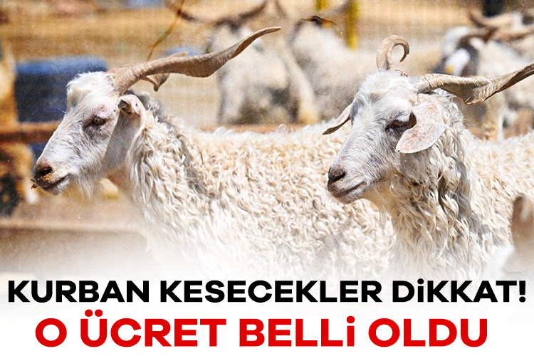 Diyanet İşleri Başkanlığı, bu yılki vekalet yoluyla kurban kesim organizasyonunda