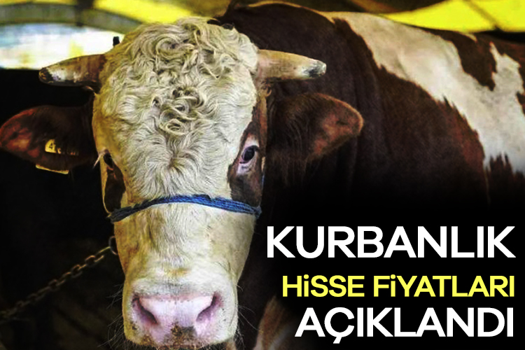 Kurbanlık hisse fiyatları açıklandı “Kurban Bayramı öncesi fiyatlar belli oldu. Üreticiler ve tüketiciler için