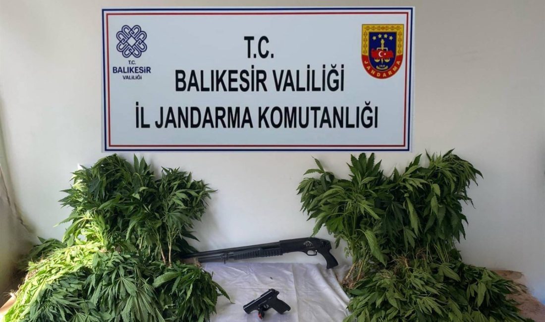 Balıkesir’de jandarmadan organize suçlara karşı geniş çaplı operasyon Balıkesir İl Jandarma Komutanlığı ekipleri, bir hafta içerisinde 10 ilçede