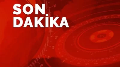 Anayasa Mahkemesi (AYM), kamuoyunda büyük tartışmalara yol açan sokak hayvanları
