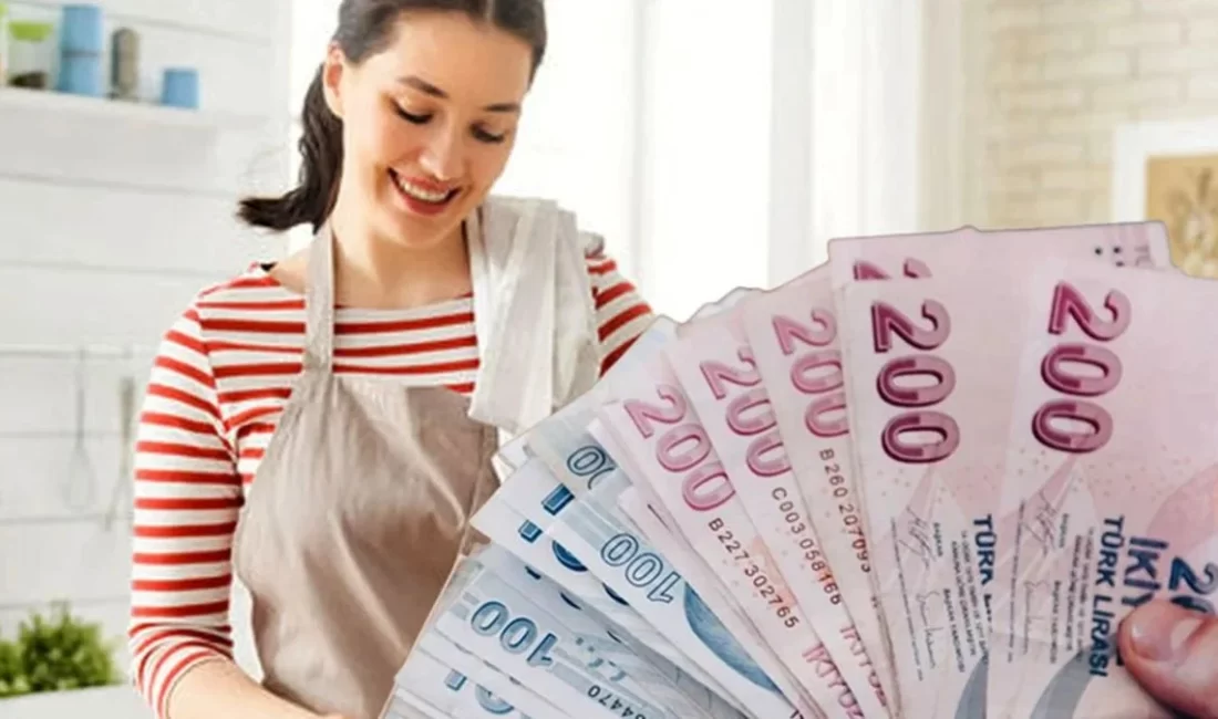 Cumhurbaşkanlığı koordinasyonunda başlatılan ve ilgili bakanlıkların ortak çalışmasıyla hazırlanan yeni