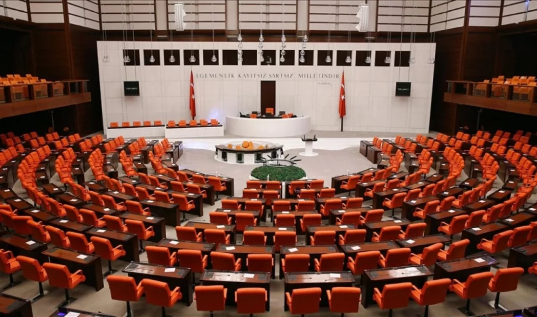 Türkiye Büyük Millet Meclisi (TBMM) Kadına Karşı Şiddet ve Ayrımcılığın