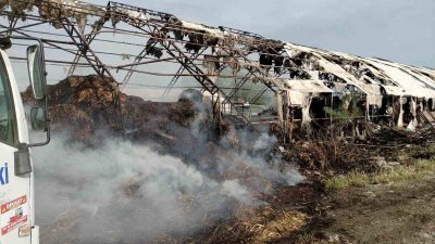 Balıkesir’in Edremit ilçesinde bir çiftlikte çıkan yangın, itfaiye ekiplerinin hızlı