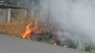 Balıkesir’in Burhaniye ilçesinde, Kızıklı yolunda meydana gelen ot yangını korkuttu.