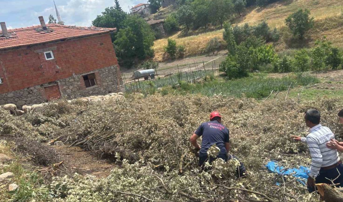 Balıkesir’de koyun damı çöktü, 2 koyun telef oldu Balıkesir’in Sındırgı ilçesinde içinde 140 küçükbaş hayvan bulunan çardak dam