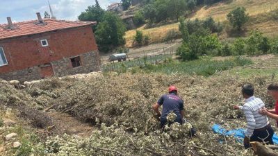 Balıkesir’in Sındırgı ilçesinde içinde 140 küçükbaş hayvan bulunan çardak dam