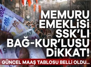Merkez Bankası, Piyasa Katılımcılar Anketi'ni yayımladı. 72 katılımcıya gönderilen 66