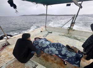 Balıkesir’in Erdek ilçesine bağlı Paşalimanı Adası’nda yalnız yaşayan 89 yaşındaki