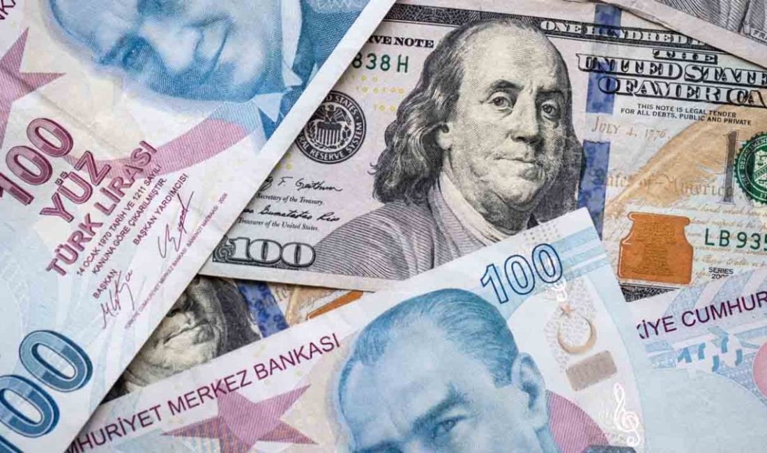 TL’deki Değer Kaybı Devam Ediyor: Asgari Ücret 628 Dolardan 570 Dolara Geriledi Asgari ücrette yıl başında yapılan artışın etkisi, Türk Lirası’ndaki hızlı