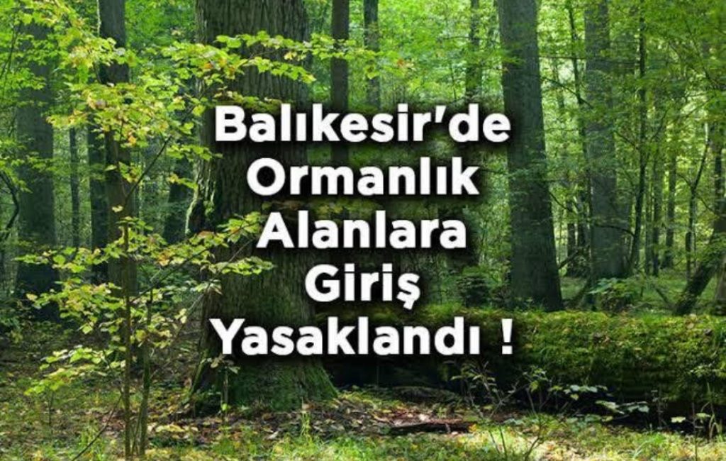 Balıkesir’de Ormanlara Giriş Yasaklandı: Yaz Dönemi İçin Yeni Tedbirler Alındı Balıkesir Orman Yangınlarıyla Mücadele Komisyonu, orman yangınlarını önlemeye yönelik önemli