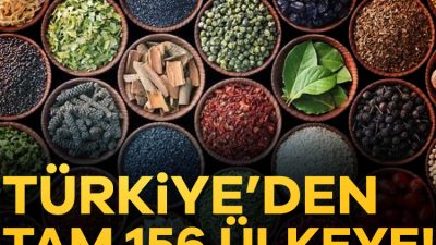 Türk baharatı dünya sofralarını süslemeye devam ediyor.