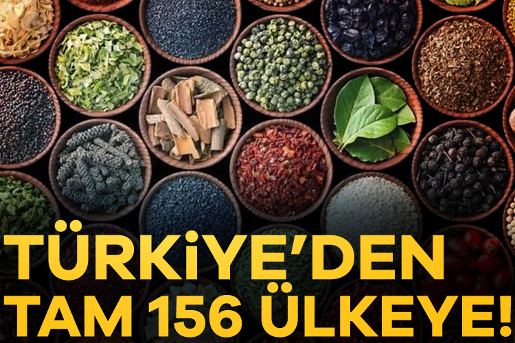 Türk baharatı dünya sofralarını süslemeye devam ediyor.