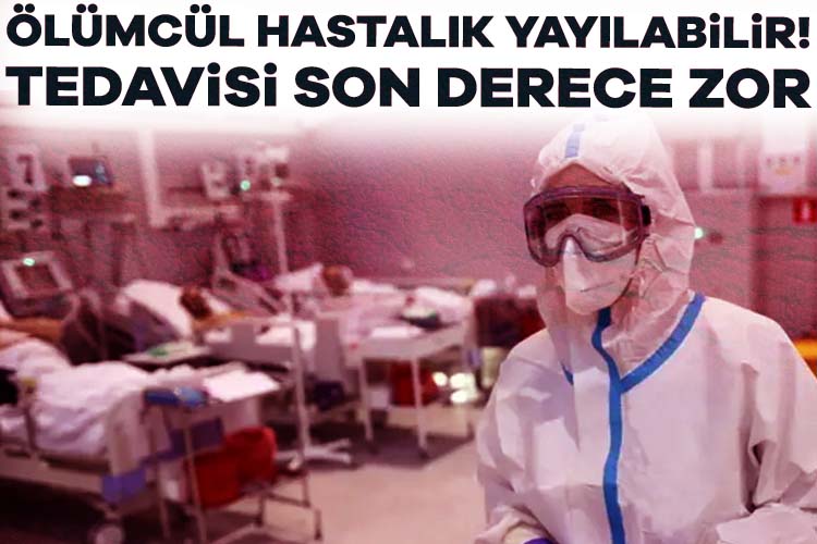 Bilim insanları, küresel ısınmanın etkisiyle yayılma riski artan tehlikeye dikkat