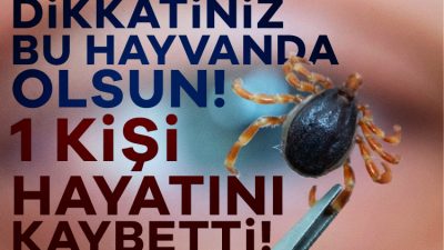 Sivas'tan çarpıcı bir sağlık uyarısı! Kırım Kongo Kanamalı Ateşi (KKKA)