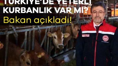 Tarım ve Orman Bakanı İbrahim Yumaklı, Kayseri'de düzenlenen Veteriner Yol