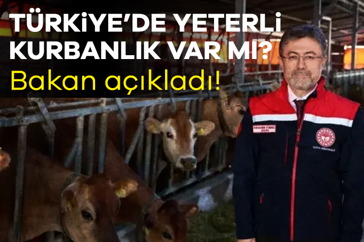 Tarım ve Orman Bakanı İbrahim Yumaklı, Kayseri'de düzenlenen Veteriner Yol