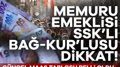 Merkez Bankası, Piyasa Katılımcılar Anketi'ni yayımladı. 72 katılımcıya gönderilen 66