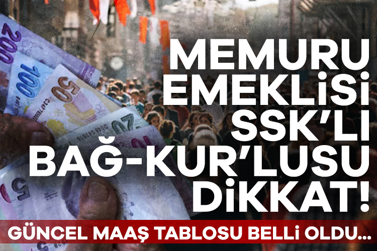 Merkez Bankası, Piyasa Katılımcılar Anketi'ni yayımladı. 72 katılımcıya gönderilen 66