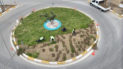 Balıkesir Büyükşehir Belediyesi, yeşil alanlarda kullandığı rulo çimleri, BAÇEM yerleşkesinde