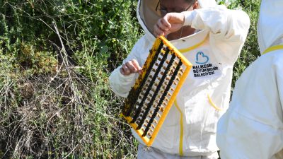 Sürdürülebilir kalkınma hedefleri kapsamında arıcılığı destekleyen Balıkesir Büyükşehir Belediye Başkanı