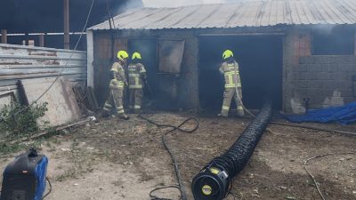 Balıkesir’in Manyas ilçesine bağlı Kocagöl Mahallesi’nde bir hayvan damında çıkan