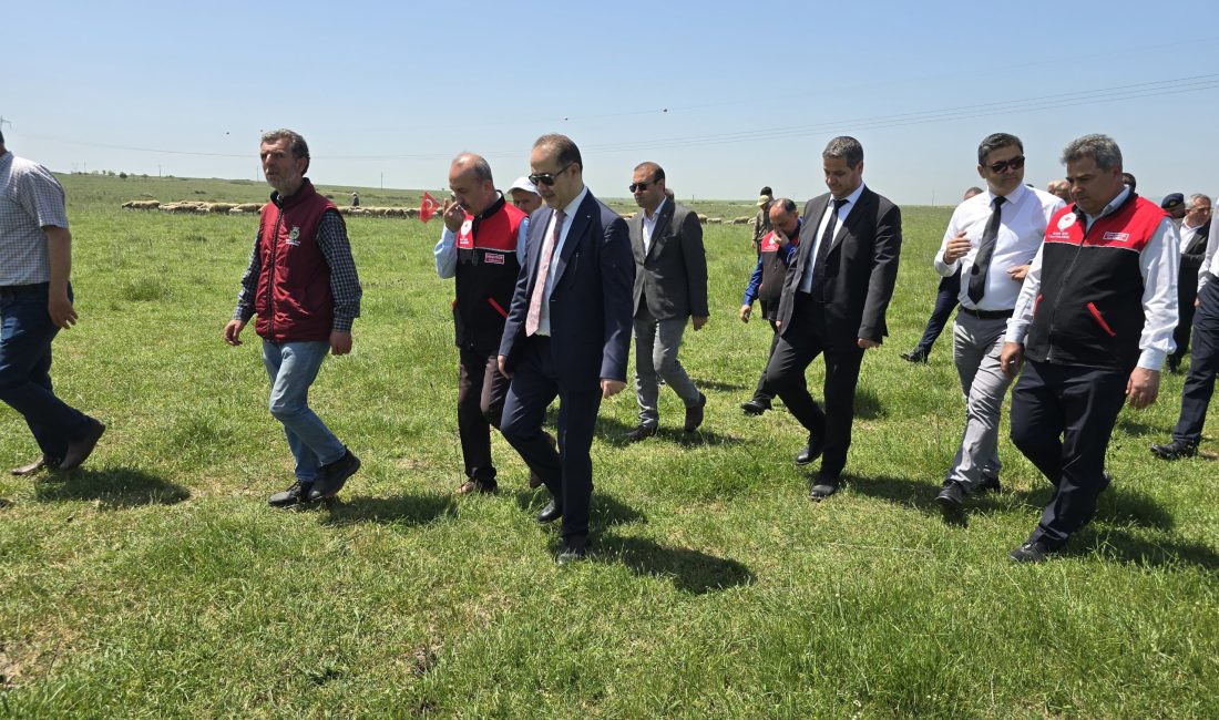 Balıkesir’in Bandırma ilçesi Doğruca Mahallesi’nde “Çayır Mera Islah ve Amenajman