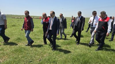 Balıkesir’in Bandırma ilçesi Doğruca Mahallesi’nde “Çayır Mera Islah ve Amenajman