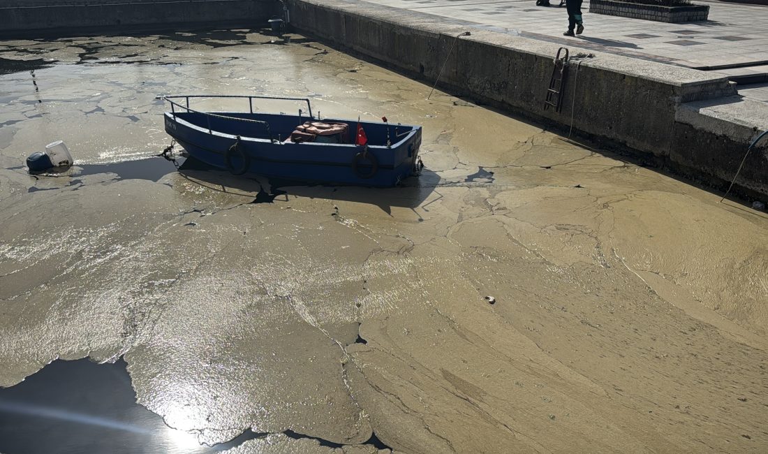 Balıkesir’in Bandırma ve Gönen ilçelerinde deniz yüzeyinde müsilaj görüldü. Marmara