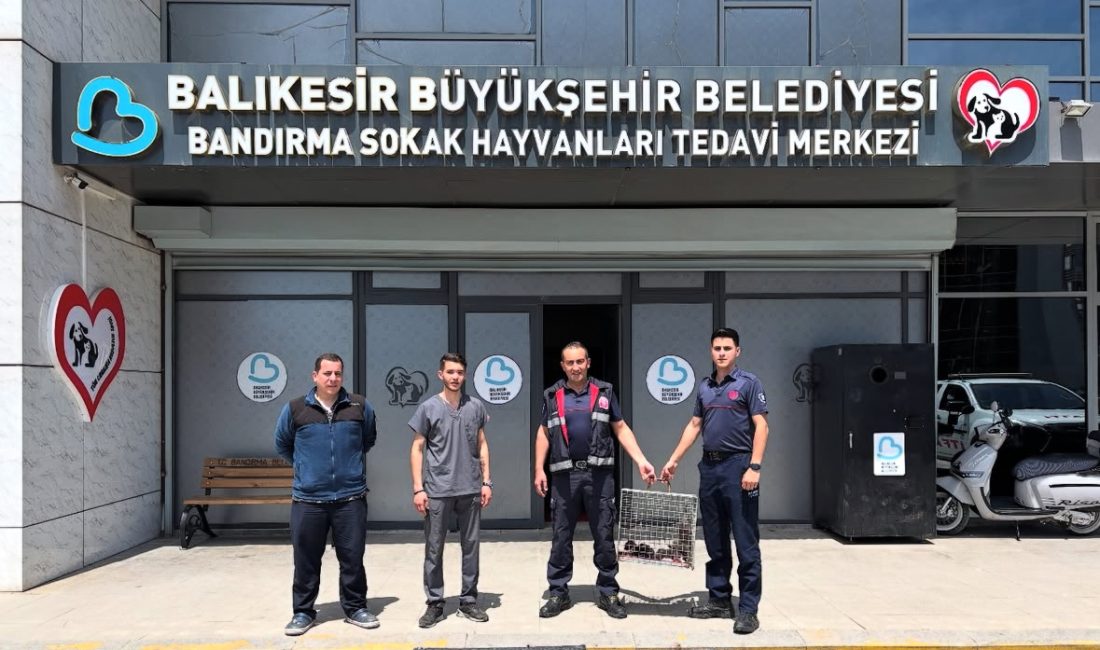 Balıkesir’in Bandırma ilçesinde bir çatı arasında mahsur kalan 3 yavru