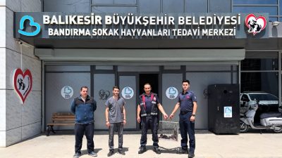 Balıkesir’in Bandırma ilçesinde bir çatı arasında mahsur kalan 3 yavru