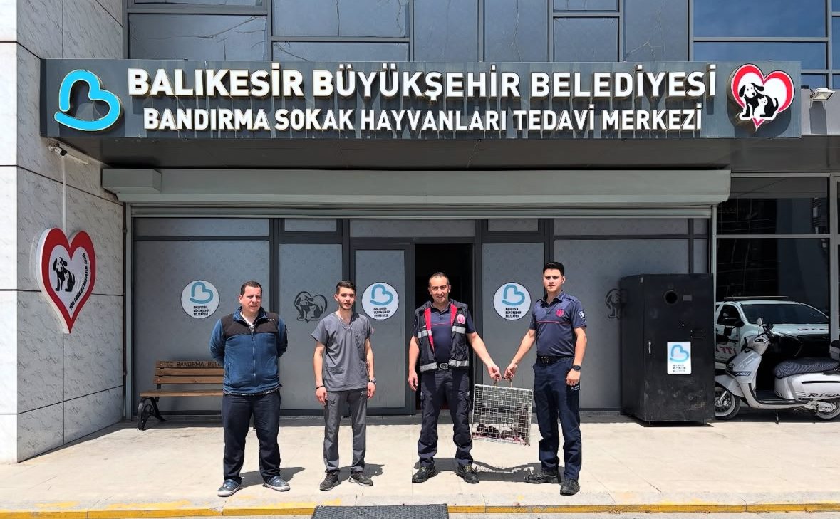 Balıkesir’in Bandırma ilçesinde bir çatı arasında mahsur kalan 3 yavru